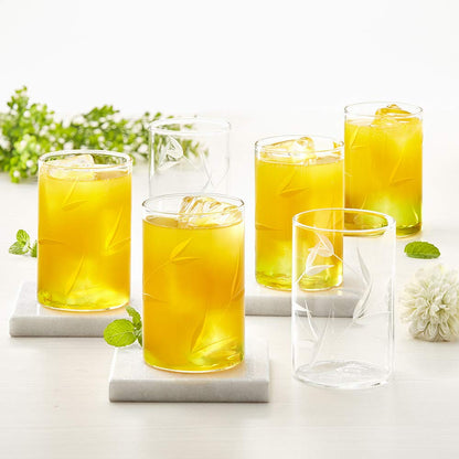 Borosil Bouquet Vision Drinking Glass 295 ml |Transparent |  Set of 6 pcs