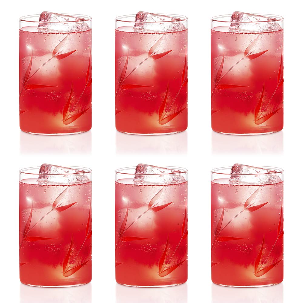 Borosil Bouquet Vision Drinking Glass 295 ml |Transparent |  Set of 6 pcs