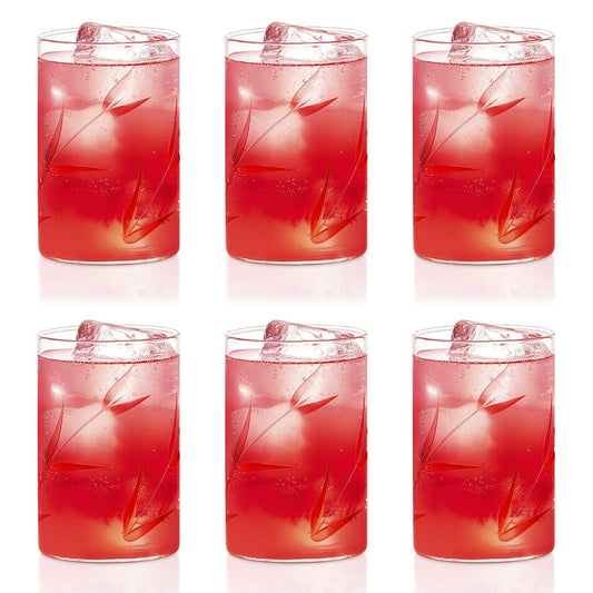 Borosil Bouquet Vision Drinking Glass 295 ml |Transparent |  Set of 6 pcs