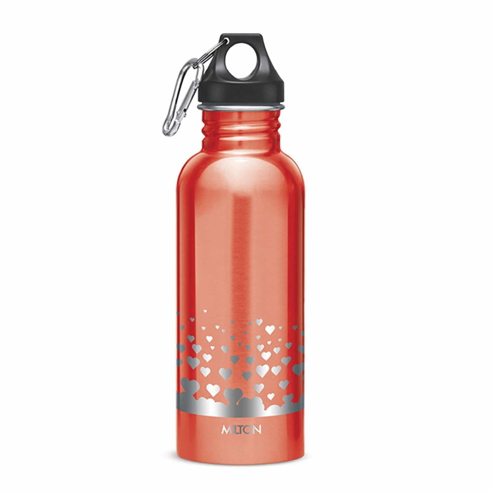 Milton Alive Stainless Steel Water Bottle | 1 Pc