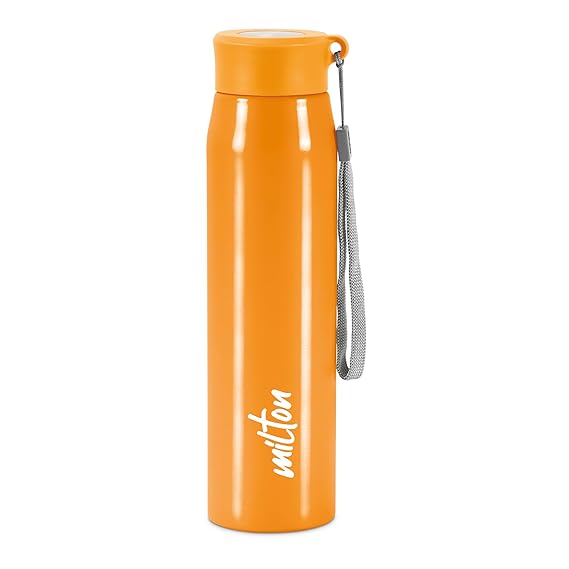 Milton Handy Stainless Steel Water Bottle | 1 Pc