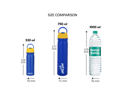 Milton Max Stainless Steel Water Bottle | 1 Pc