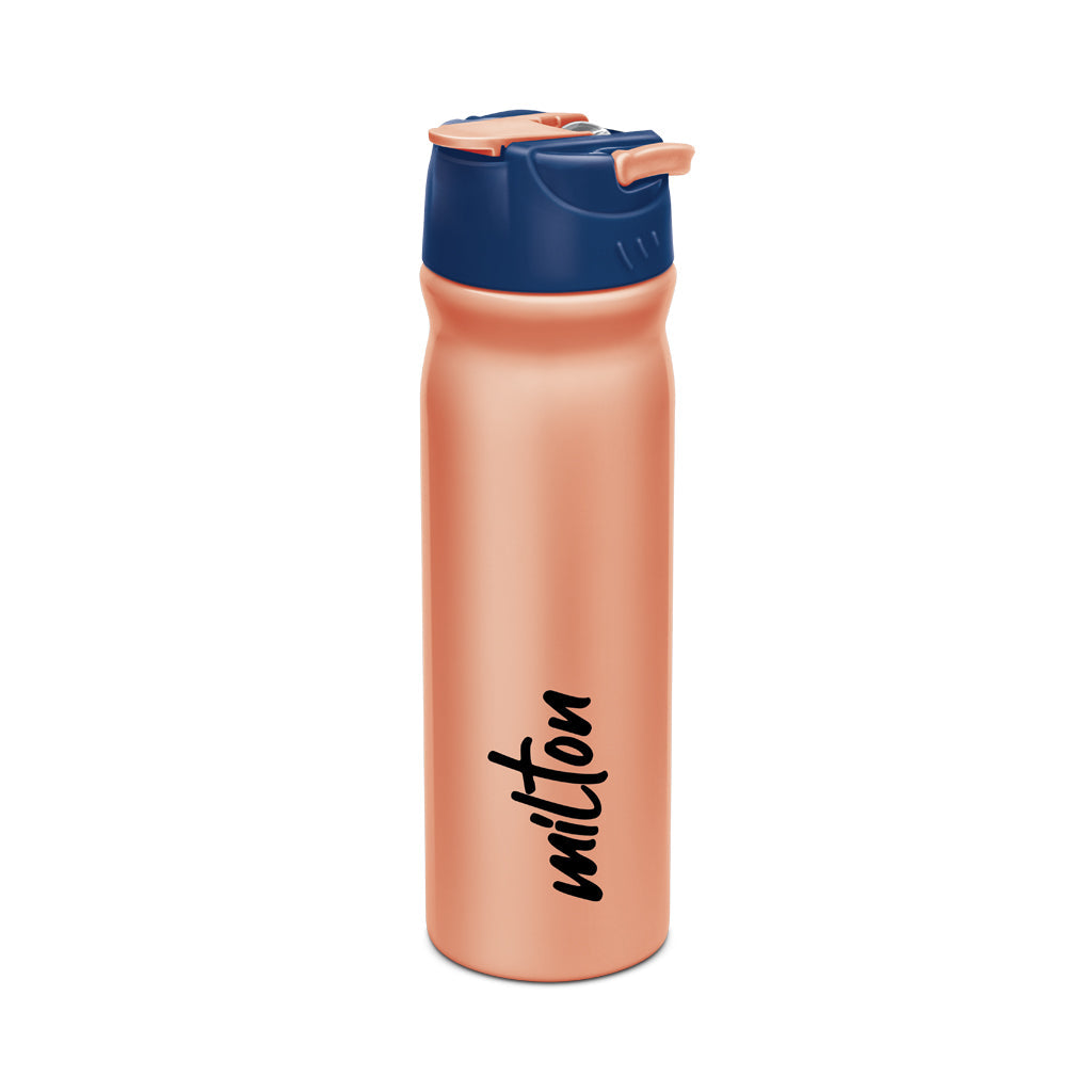 Milton Max Stainless Steel Water Bottle | 1 Pc