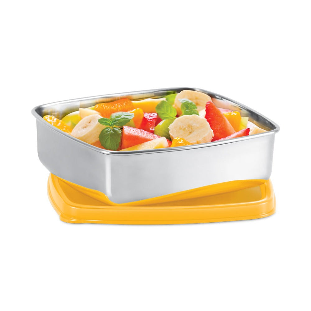 Milton Stainless Steel Pro Rectnagular Conatiners with Plastic Lid - 7